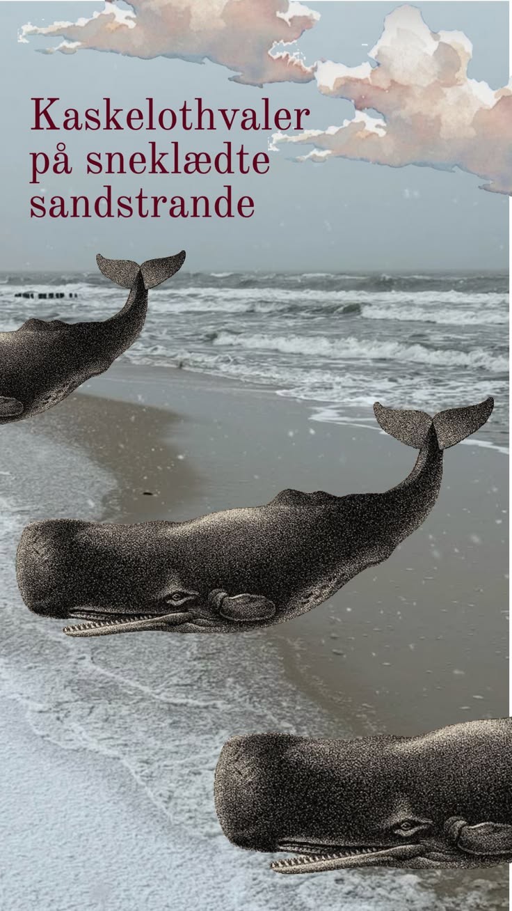 Kort Novelle Uge&nbsp;12