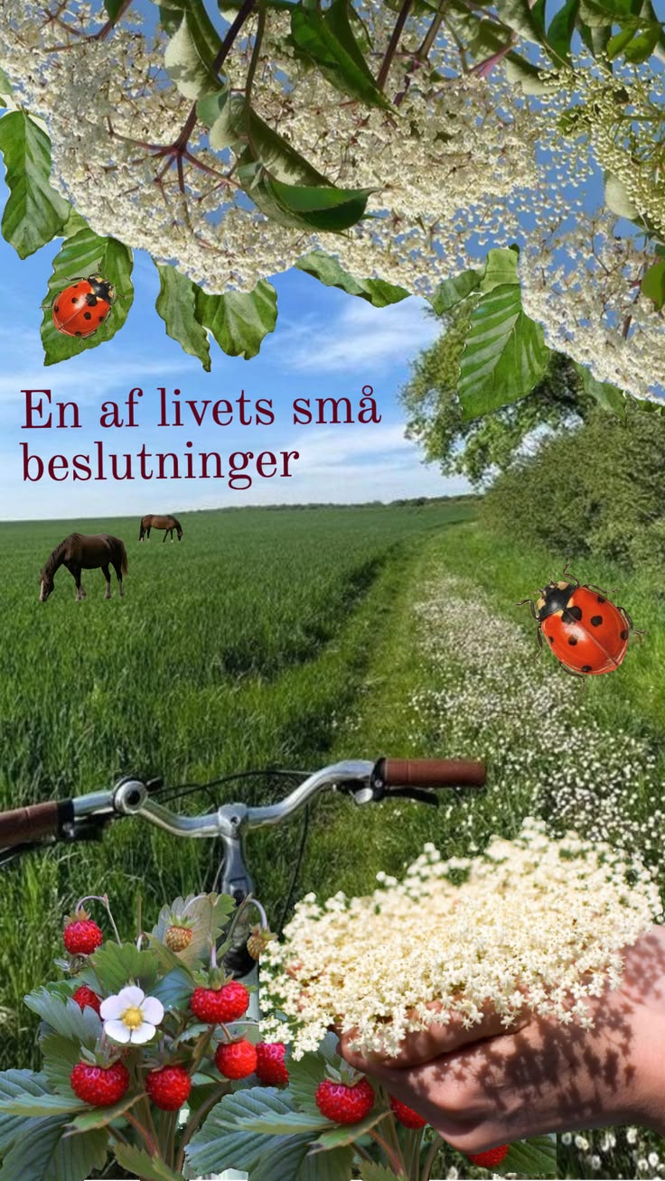 Kort Novelle Uge&nbsp;13