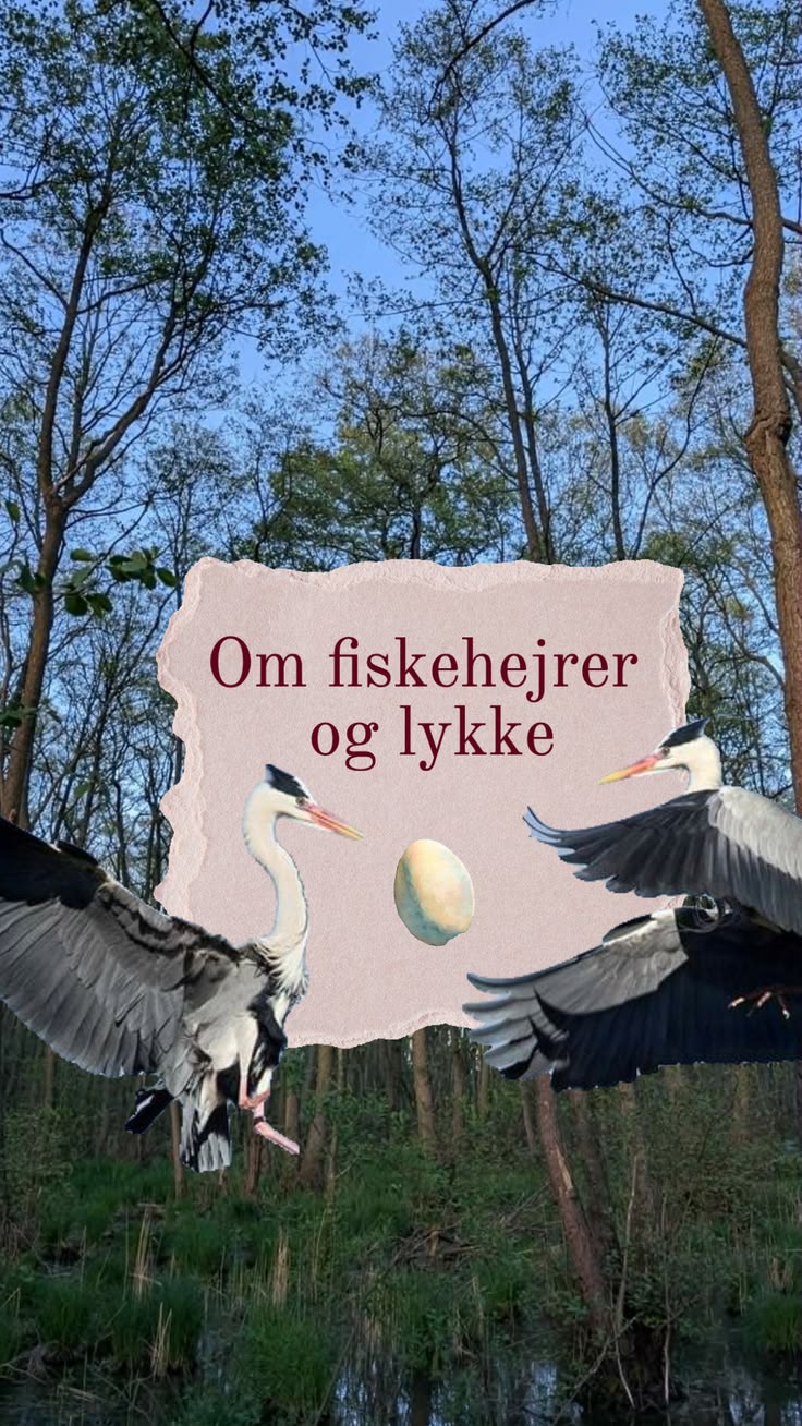 Kort Novelle Uge&nbsp;21