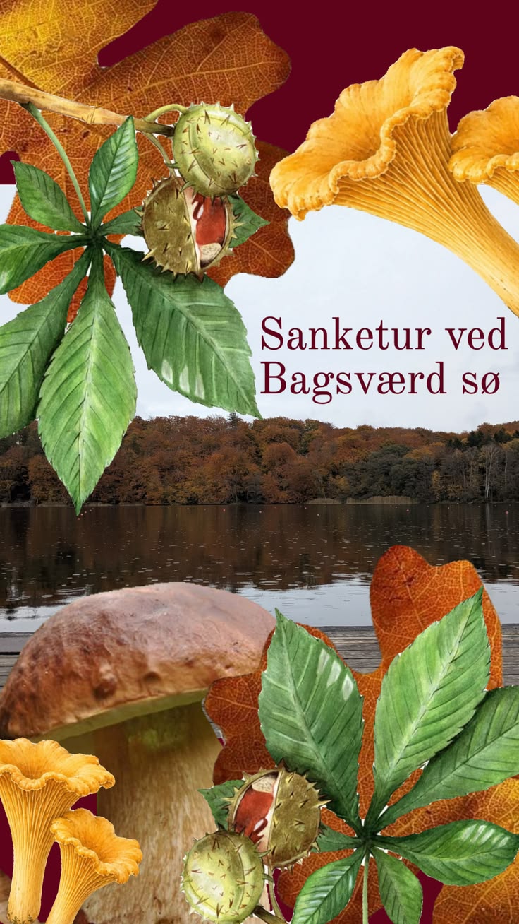 Kort Novelle Uge&nbsp;39